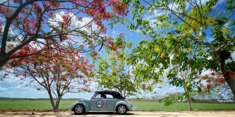 SE CUMPLEN LOS PRIMEROS 263 KILÓMETROS DE LA SÉPTIMA EDICIÓN DEL MUSEO RODANTE