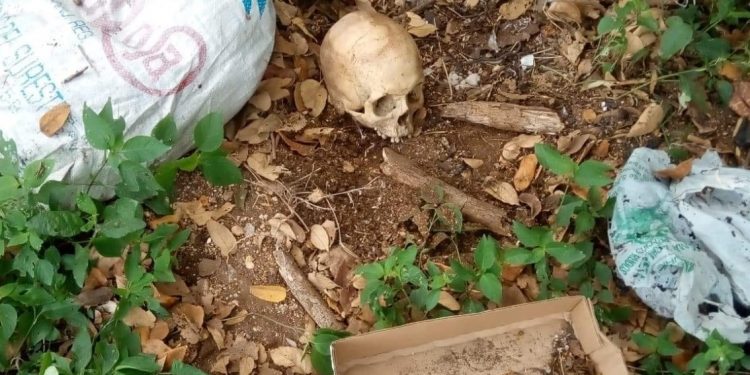 ENCUENTRAN OSAMENTA EN CHETUMAL