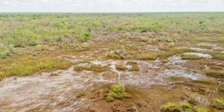 QUINTANA ROO LIBRE DE INCENDIOS