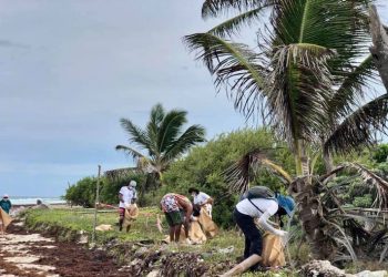 RETIRAN MÁS DE 95 KILOS DE BASURA EN ZONA DE ANIDACIÓN DE TORTUGAS MARINAS