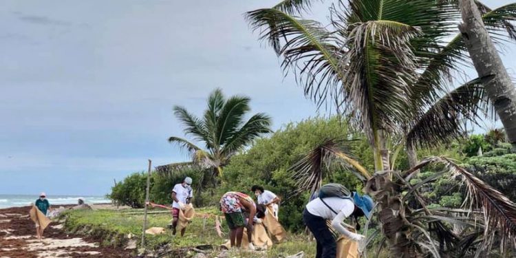 RETIRAN MÁS DE 95 KILOS DE BASURA EN ZONA DE ANIDACIÓN DE TORTUGAS MARINAS