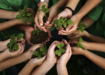 LA EDUCACIÓN CON COMUNICACIÓN AMBIENTAL ESTÁ ENCAMINADA PARA BRINDAR ACTUALIZACIÓN Y CAPACITACIÓN Y ASÍ OBTENER PROCESOS EXITOSOS EN EDUCACIÓN AMBIENTAL FORMAL E INFORMAL