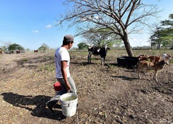 LA NASA ALERTA POR GRAVE SEQUÍA EN MÉXICO