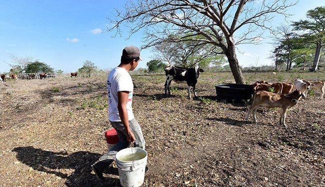 LA NASA ALERTA POR GRAVE SEQUÍA EN MÉXICO