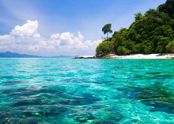 LISTA LA 9ª EDICIÓN DEL FESTIVAL DE LOS OCÉANOS DEL CARIBE MEXICANO