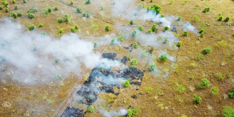 ESTA TEMPORADA DE INCENDIOS, SE HA LOGRADO COMBATIDO 20 CONFLAGRACIONES DE TERRENOS FORESTALES EN QUINTANA ROO