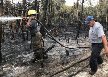 SE COMBATEN INCENDIOS FORESTALES EN QUINTANA ROO