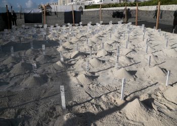 H. AYUNTAMIENTO EMPIEZA CON LA TEMPORADA DE PROTECCIÓN A LAS TORTUGAS MARINAS EN BENITO JUÁREZ