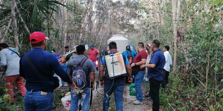 EXTINGUEN INCENDIO EN “LOS FAISANES”, NO HUBO VÍCTIMAS QUE LAMENTAR