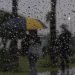 LLOVIZNAS Y CALOR, PRONOSTICA PROTECCIÓN CIVIL PARA ESTE VIERNES