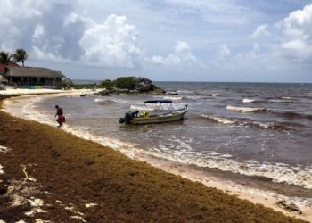 TONELADAS DE SARGAZO INVADEN LAS COSTAS DE YUCATÁN