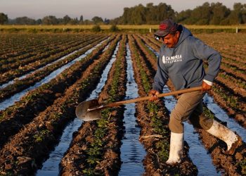 ALARGAN PERIODO DE GRACIA PARA LOS DEUDORES DE CRÉDITOS AGROPECUARIOS EN YUCATÁN