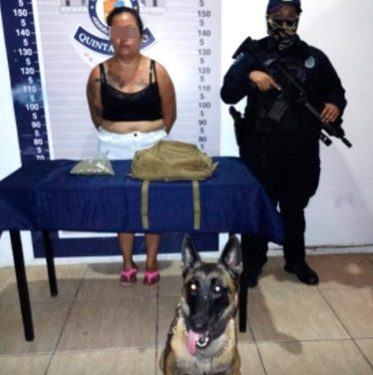 UNIDAD CANINA DETECTA A MUJER QUE PORTABA MARIHUANA EN PLAYA DEL CARMEN