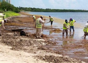 URGE INCLUIR AL SARGAZO COMO DESASTRE NATURAL; ESTE YA REBASÓ A LA SEMAR: MAYULI MARTÍNEZ