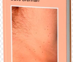 EL LIBRO DICKNIDAD DEL AUTOR DAVE BRENNAN YA SE ENCUENTRA A LA VENTA. ¿A CUÁNTOS ORGASMOS TENEMOS DERECHO EN ESTA VIDA?