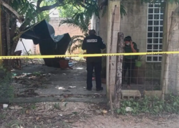 HOMBRE DE 32 AÑOS MUERE TRAS CAER DE UN ÁRBOL DE 10 METROS DE ALTURA EN VALLADOLID