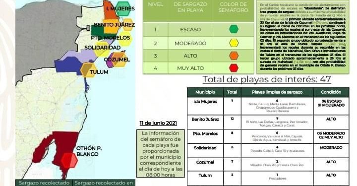 SE APROXIMA MANCHÓN DE SARGAZO A COSTAS DEL SUR DE QUINTANA ROO