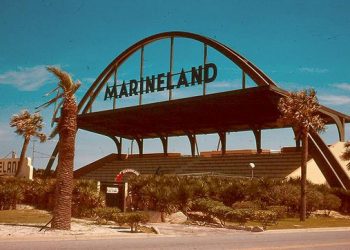 MARINELAND, MIEMBRO DE LA FAMILIA THE DOLPHIN COMPANY CELEBRA 83 AÑOS DE EXPERIENCIA