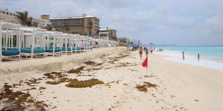 BUSCAN PREVENIR RIESGOS AMBIENTALES EN DESARROLLOS TURÍSTICOS