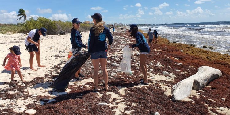 LIMPIAN VOLUNTARIOS DEL #FESTOCÉANOS PUNTA BRAVA, PUERTO MORELOS.
