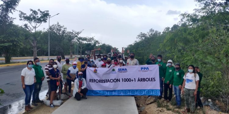 REALIZAN REFORESTACIÓN Y LIMPIEZA EN CUATRO MUNICIPIOS