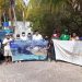 CONMEMORA GOBIERNO MUNICIPAL EL “DÍA MUNDIAL DEL MEDIO AMBIENTE” EN ISLA MUJERES