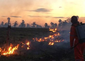 CERRÓ SIN NOVEDADES LA TEMPORADA DE INCENDIOS EN YUCATÁN