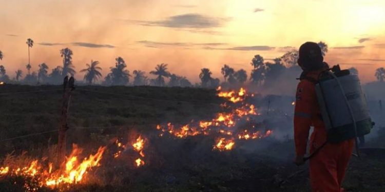 CERRÓ SIN NOVEDADES LA TEMPORADA DE INCENDIOS EN YUCATÁN