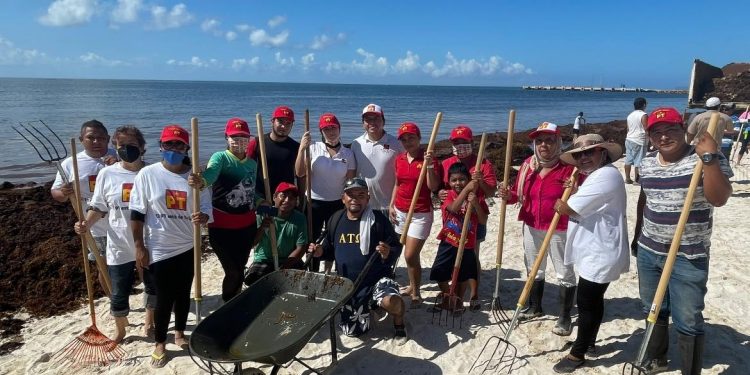 “NO IMPORTA QUE NO HAYA CAMPAÑA, LO IMPORTANTE ES AYUDAR”; PETISTAS DE PUERTO MORELOS SALEN A LIMPIAR SARGAZO