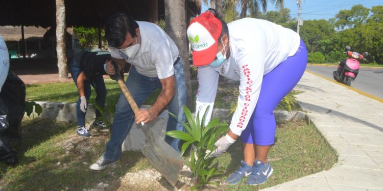 CONTINÚAN TRABAJOS DE REFORESTACIÓN DE ESPACIOS PÚBLICOS EN ISLA MUJERES