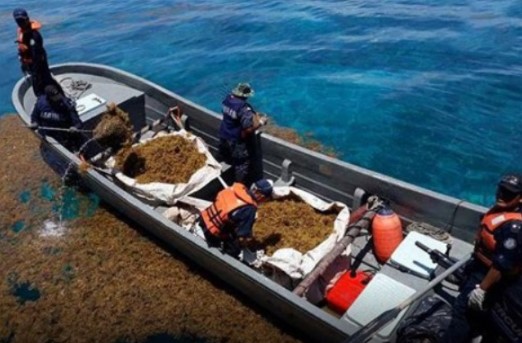 REPORTAN HUNDIMIENTO DE EMBARCACIÓN SARGACERA DE LA SEMAR EN PLAYA DEL CARMEN