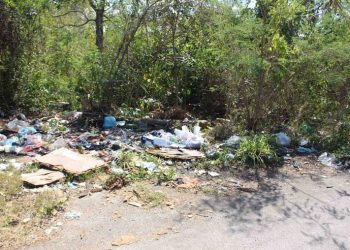 INCREMENTA LA GENERACIÓN DE BASURA EN FELIPE CARRILLO PUERTO