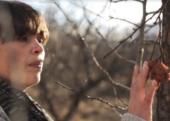 AMBULANTE PRESENTA “NO SUCUMBIÓ LA ETERNIDAD” PARA HABLAR SOBRE LA VERDAD, LA MEMORIA Y LA JUSTICIA