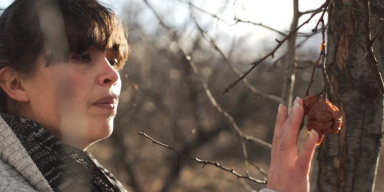 AMBULANTE PRESENTA “NO SUCUMBIÓ LA ETERNIDAD” PARA HABLAR SOBRE LA VERDAD, LA MEMORIA Y LA JUSTICIA