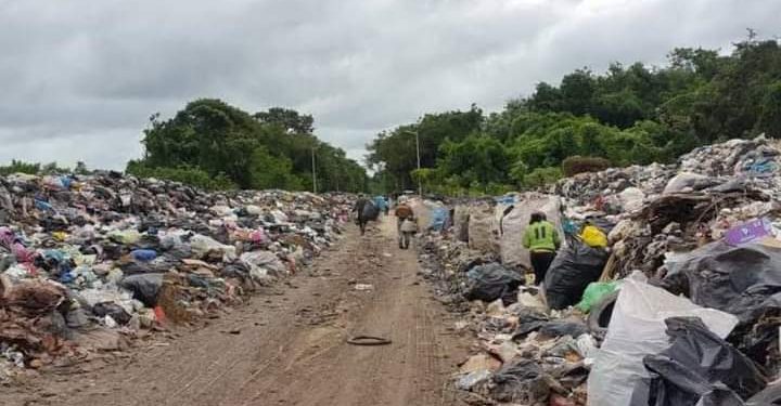 HALLAN A BEBÉ MUERTO ENTRE CERROS DE BASURA EN RELLENO SANITARIO DE ISLA MUJERES
