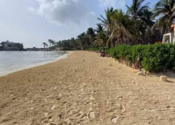 CONTINÚAN PLAYAS DE ISLA MUJERES LIBRES DE SARGAZO