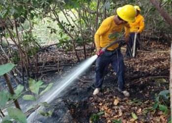 SE ENCUENTRA BAJO CONTROL UN INCENDIO REGISTRADO EN BACALAR, EN LA ZONA NÚCLEO UAIMIL