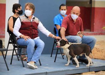 GOBIERNO DE SOLIDARIDAD A LA VANGUARDIA EN LA PROTECCIÓN Y CUIDADO DE LOS ANIMALES