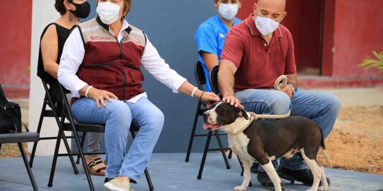 GOBIERNO DE SOLIDARIDAD A LA VANGUARDIA EN LA PROTECCIÓN Y CUIDADO DE LOS ANIMALES