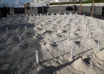 GOBIERNO DE BENITO JUÁREZ PROTEGE DE FORMA PERMANENTE A TORTUGAS MARINAS