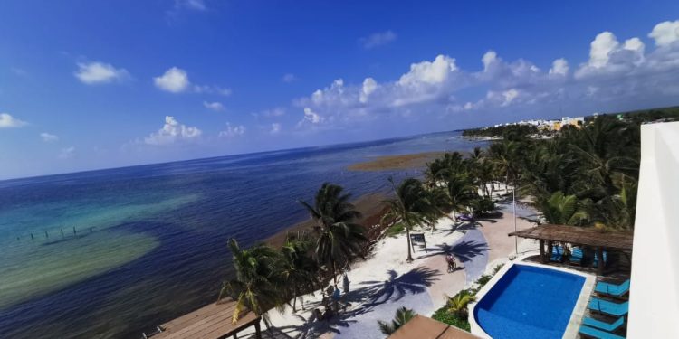 SE PREPARAN PARA ARRIBO DE 9 MIL TONELADAS DE SARGAZO