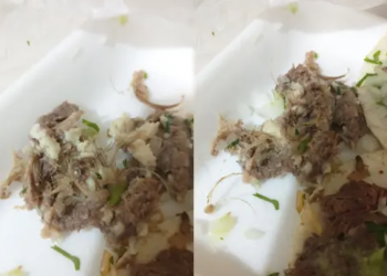 JOVEN ACUSA QUE LE VENDIERON TACOS CARNE DE PERRO EN VEZ DE RES