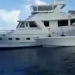 YATE EXTRANJERO ANCLADO EN ZONA DE ARRECIFES DE COZUMEL NO RECIBIÓ SANCIÓN
