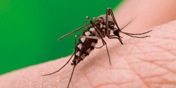 INCREMENTAN CASOS DE DENGUE EN TABASCO