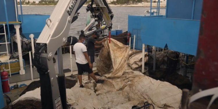 24 MIL 906 TONELADAS DE SARGAZO RECOLECTADAS EN QUINTANA ROO