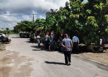 BLOQUEO DE TRABAJOS EN CALDERITAS DEL MIRADOR DEL TREN MAYA
