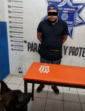 ELEMENTO CANINO DETECTA TRASLADO DE DROGAS DURANTE OPERATIVO EN LA CARRETERA PLAYA-TULUM