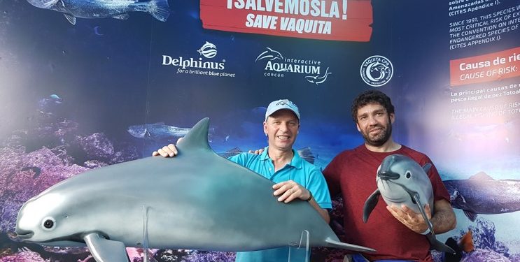 MUESTRA TV CHILENA BIENESTAR DE DELFINES Y CUIDADO AMBIENTAL DEL CARIBE MEXICANO EN SERIE “DELFÍN DEL MUNDO”.