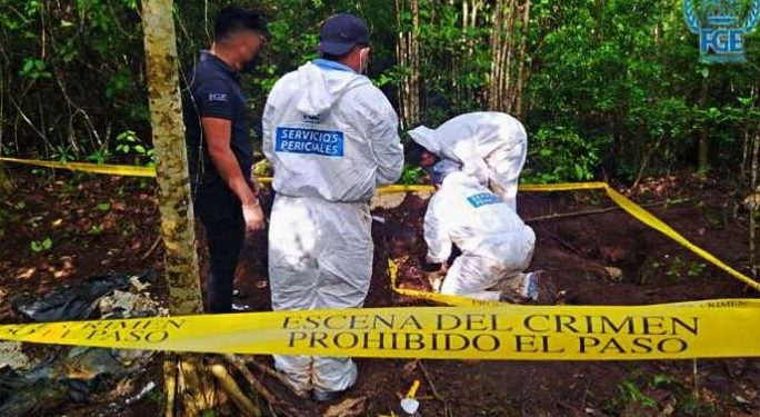 CONFIRMAN HALLAZGO DE HUESOS HUMANOS EN LA SELVA, EN LA PERIFERIA DE CANCÚN