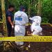CONFIRMAN HALLAZGO DE HUESOS HUMANOS EN LA SELVA, EN LA PERIFERIA DE CANCÚN
